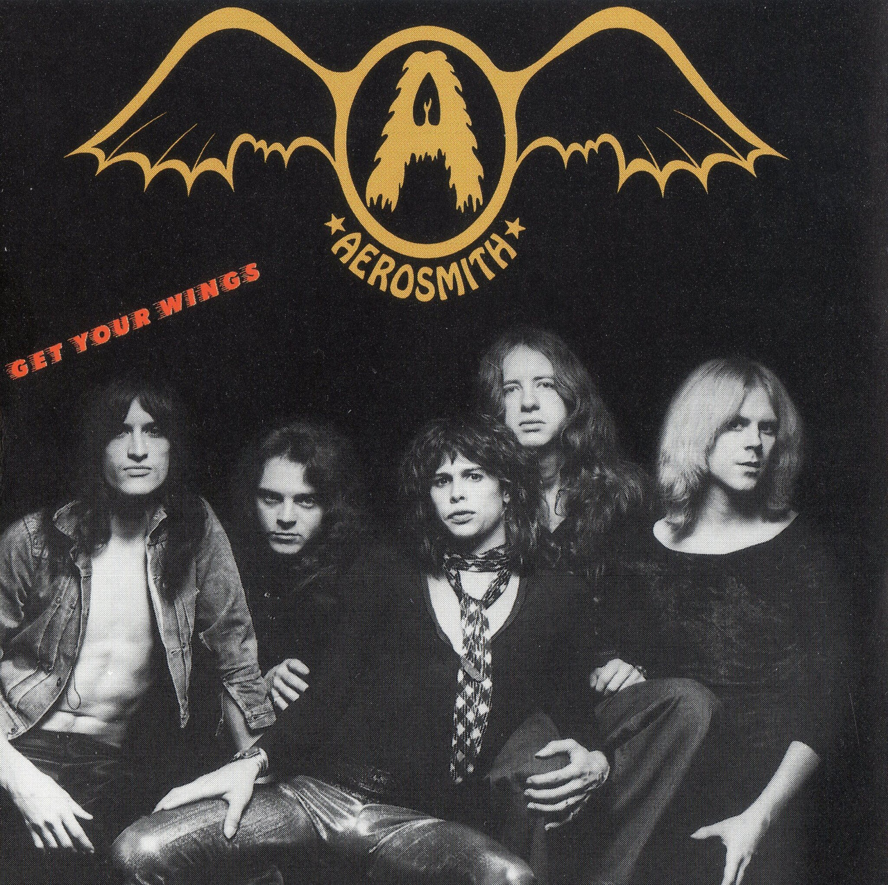 AEROSMITH GET YOUR WINGS アナログレコード Aerosmith - Get Your Wings: Remastered (180g Vinyl LP) - Music Direct