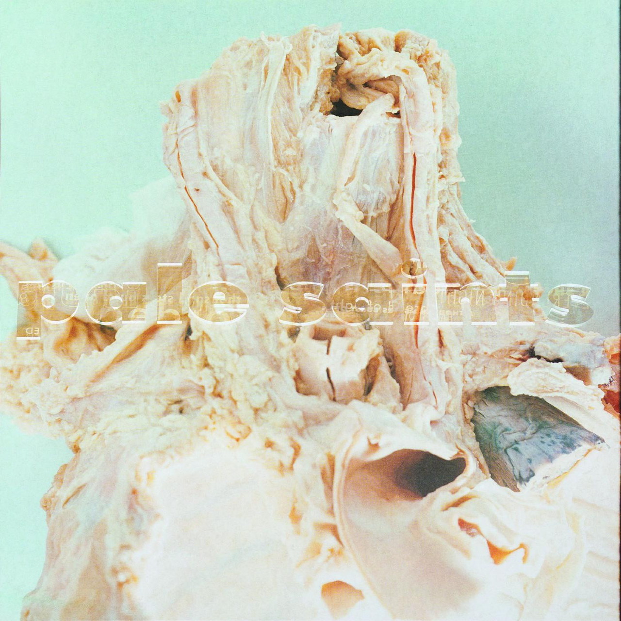 Pale Saints - In Ribbons: 30th Anniversary (Vinyl LP