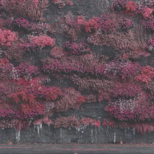 【新品未開封】【レコード】Sleep Token Even In Arcadia Sleep Token - Even in Arcadia (Vinyl 2LP) - Music Direct