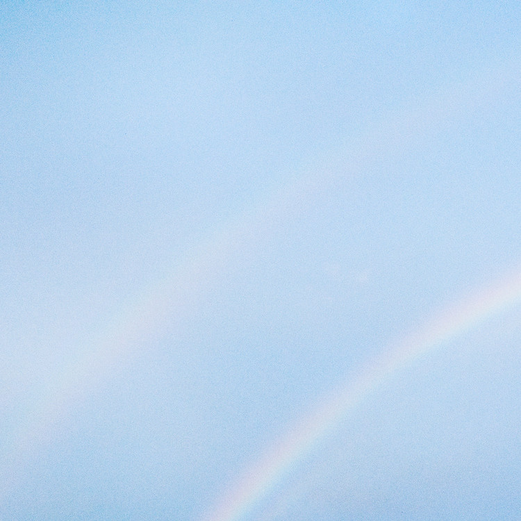 Turnstile - Never Enough (Vinyl LP) - Music Direct