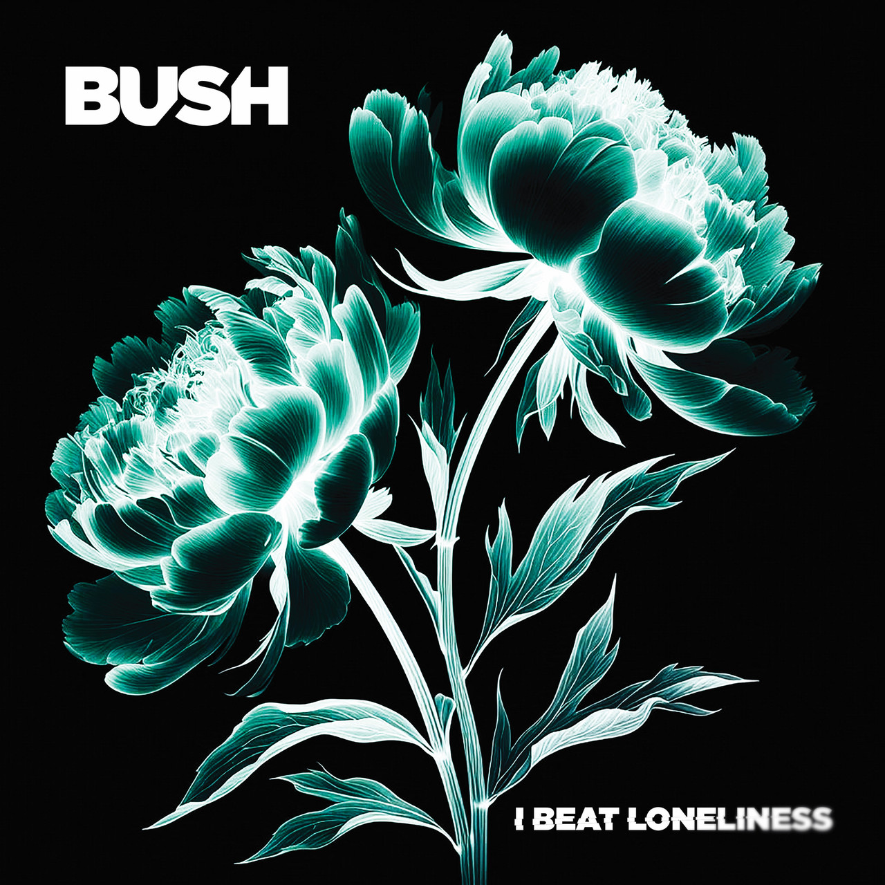 Bush - I Beat Loneliness (Vinyl 2LP) - Music Direct