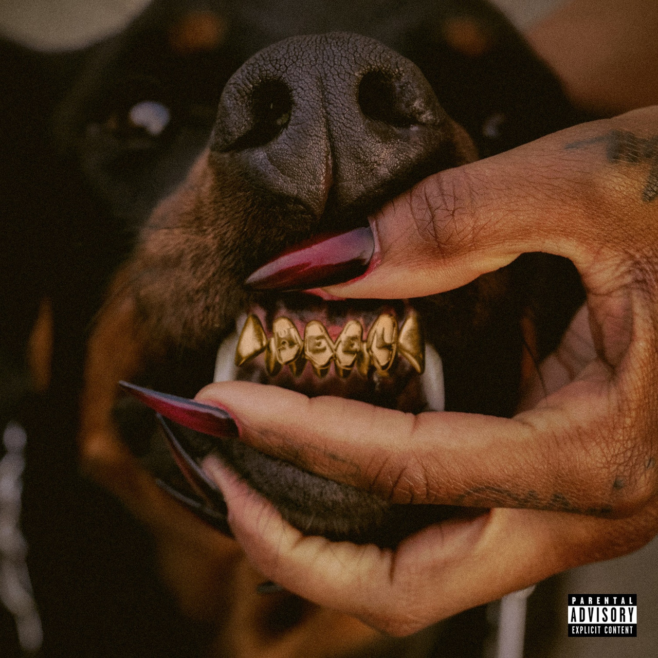 新品未開封 Leon Thomas Mutt レオントーマス LPレコード Leon Thomas - MUTT DELUXE: HEEL 2xLP – Graffiti Records
