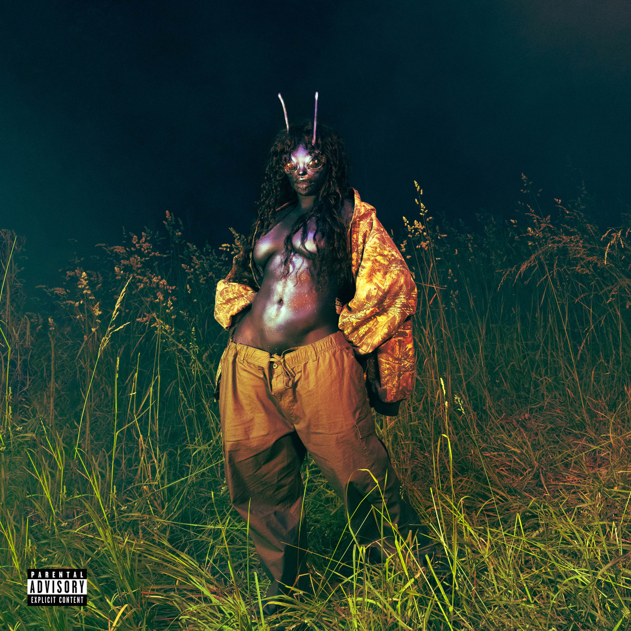 洋楽 SZA LANA SOS deluxe 4LP SZA - SOS: Deluxe: LANA (Colored Vinyl 4LP) * * * - Music Direct