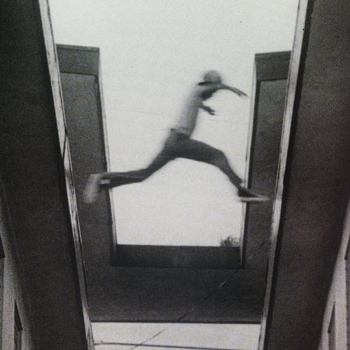 Mos Def - The Ecstatic (Colored Vinyl 2LP) * * * - Music Direct