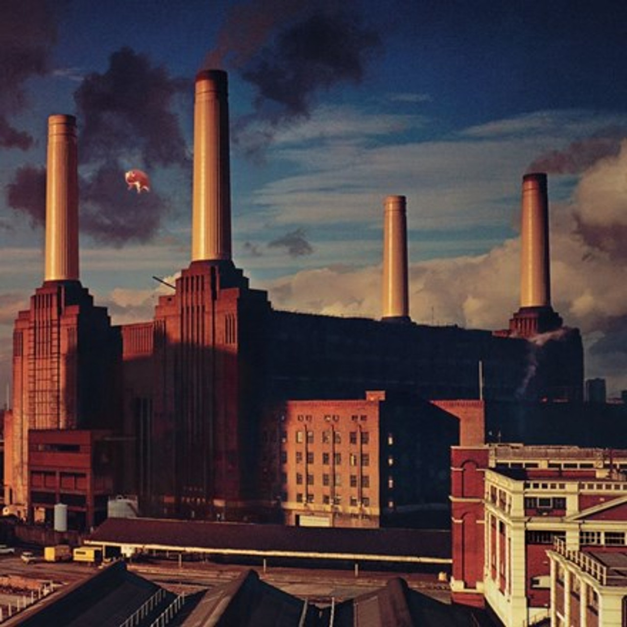 kæmpe Afskedigelse Rejsebureau Pink Floyd - Animals (180g Vinyl LP) * * * - Music Direct