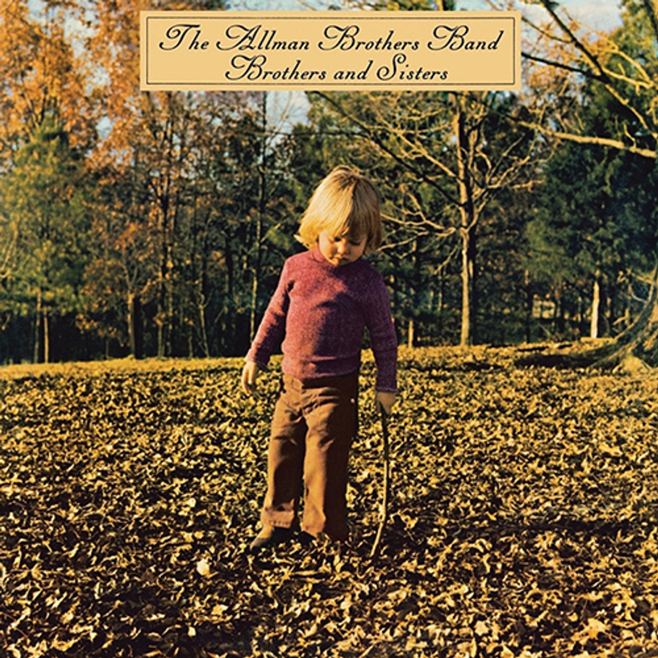 The Allman Brothers Band - Brothers And Sisters (Vinyl LP
