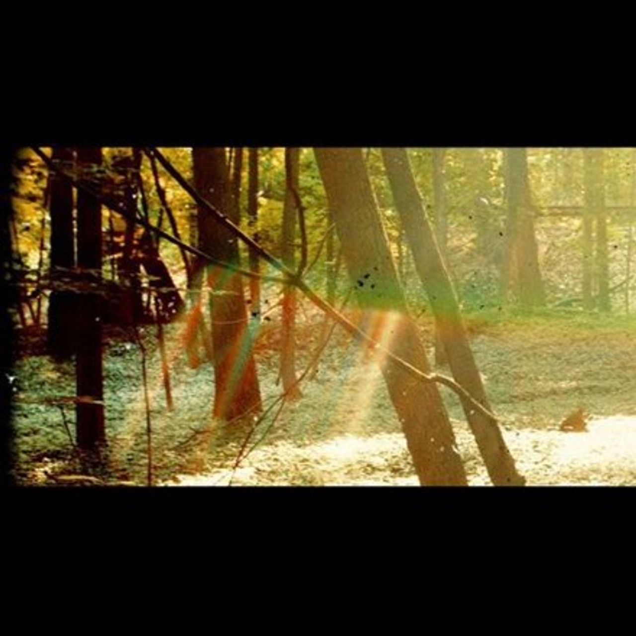 米2discs LP Childish Gambino Camp GLS012101 Glassnote (2) /00660 Childish Gambino - Camp (180g Vinyl 2LP) - Music Direct