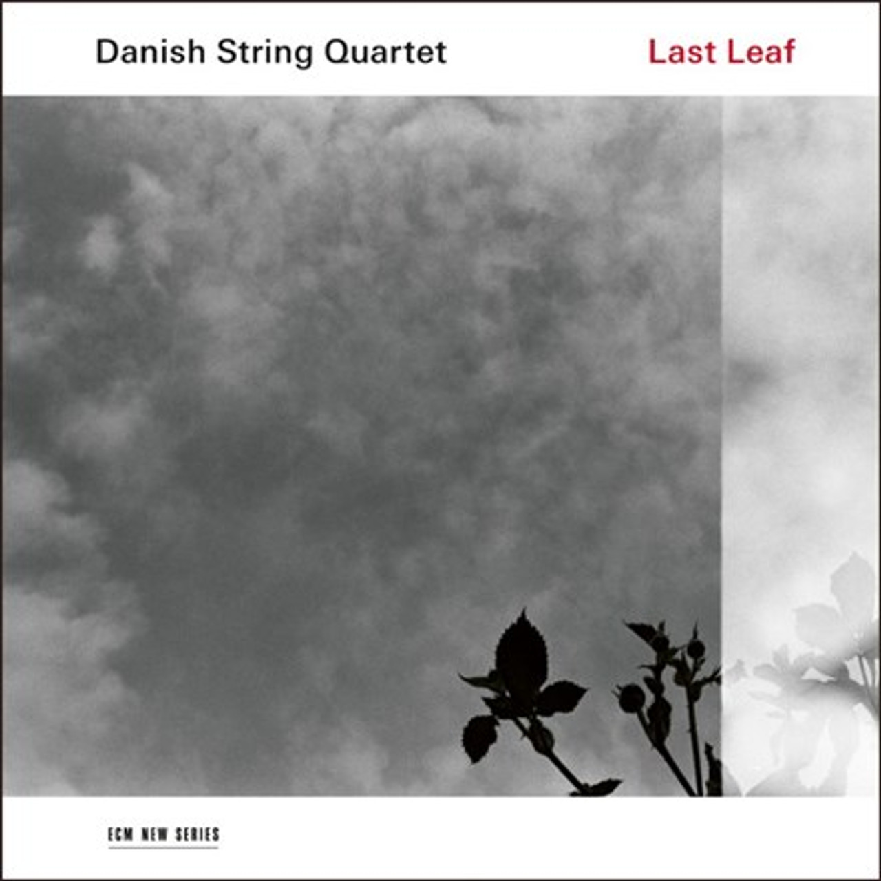 Souvenir universitetsområde ven Danish String Quartet - Last Leaf (180g Vinyl LP) - Music Direct