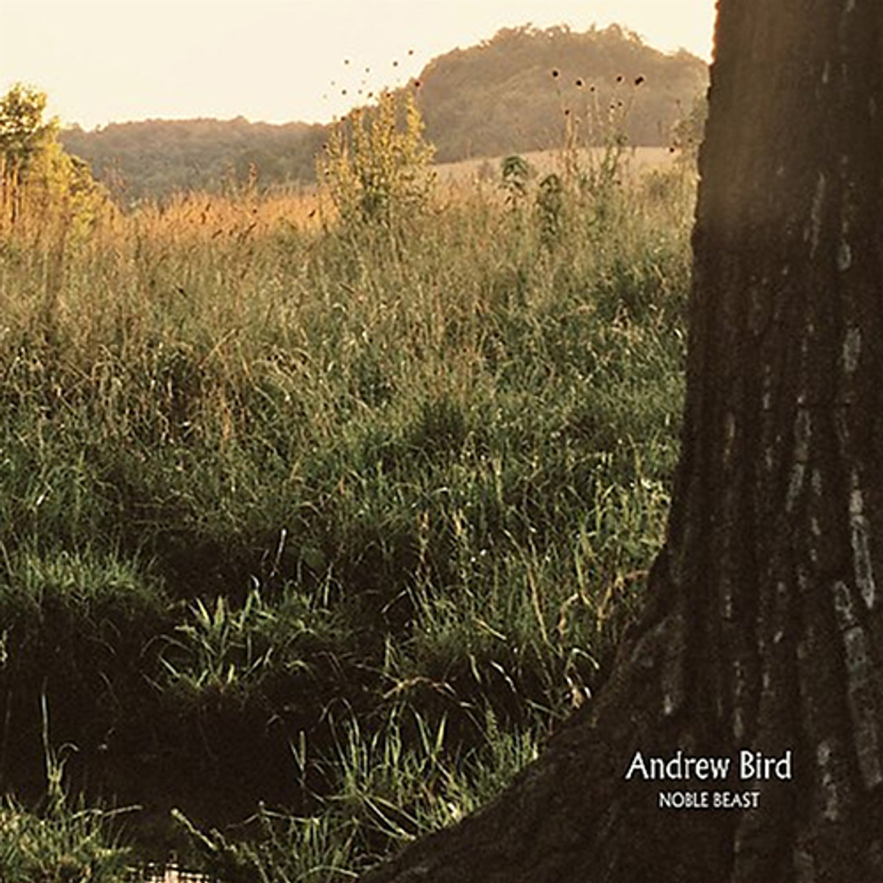 米2LP Andrew Bird Noble Beast FP11241 FAT POSSUM 未開封 /00400 Andrew Bird - Noble Beast (Vinyl 2LP) - Music Direct