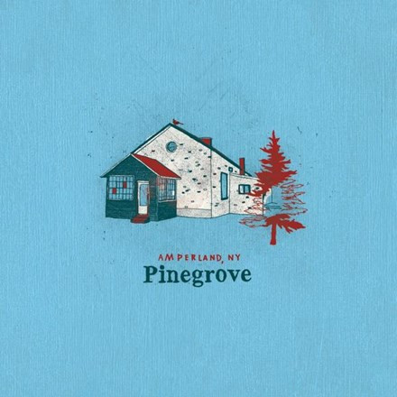Pinegrove - Amperland, NY (Vinyl 2LP) - Music Direct