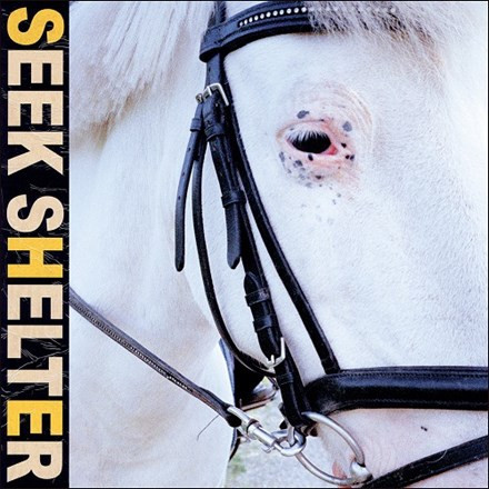 Iceage - Seek Shelter (Vinyl LP) - Music Direct