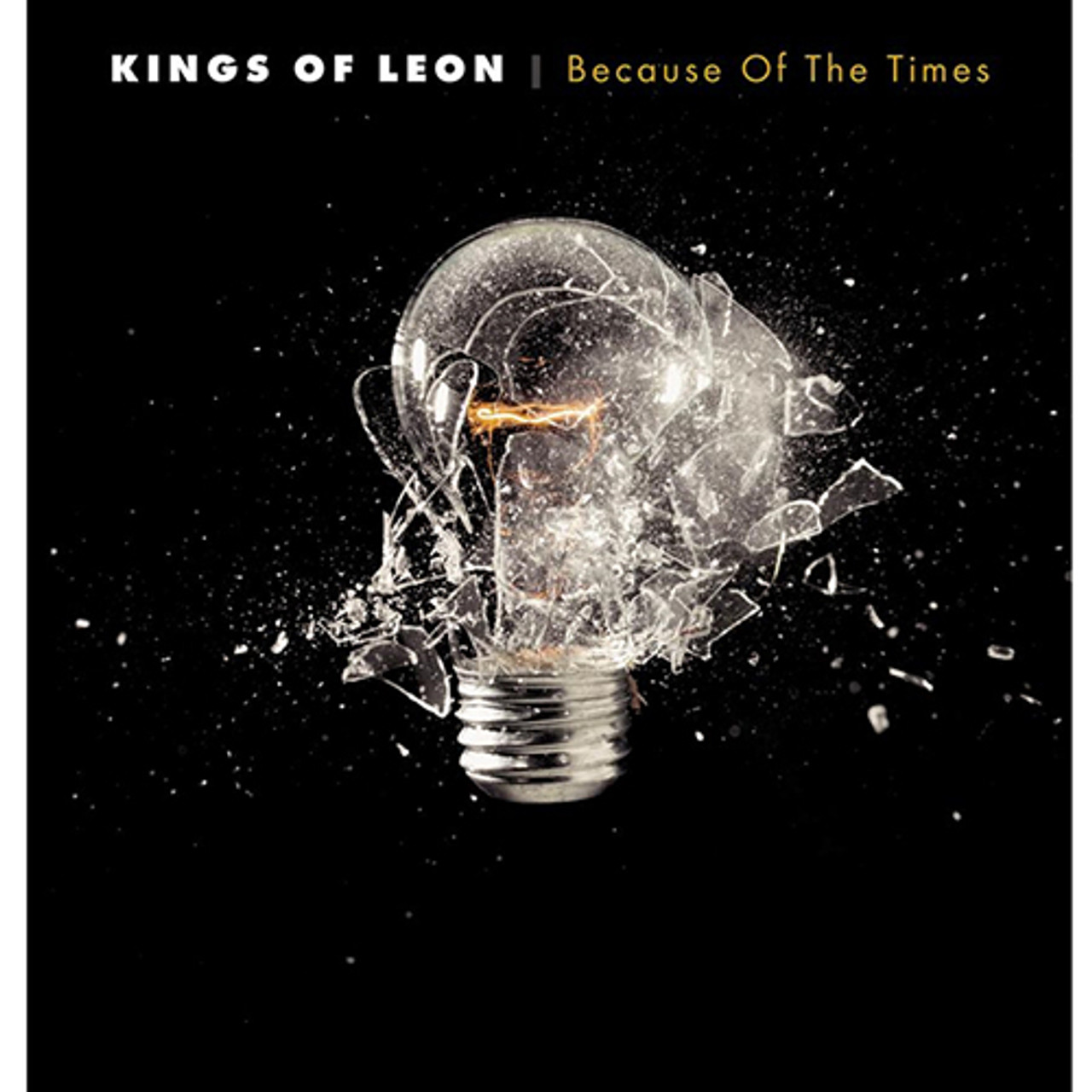 Kings Of Leon Because Of The Times 180G Vinyl 2LP