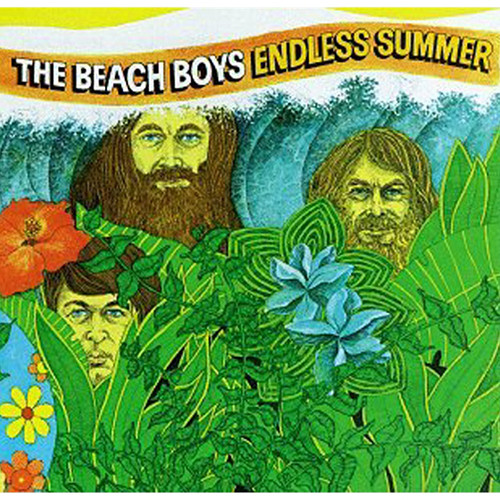 The Beach Boys - Endless Summer (180g Vinyl 2LP) - Music Direct