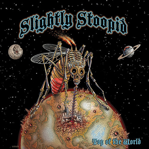 Slightly Stoopid Top of the World レコード Slightly Stoopid - Top Of The World (Vinyl LP) - Music Direct