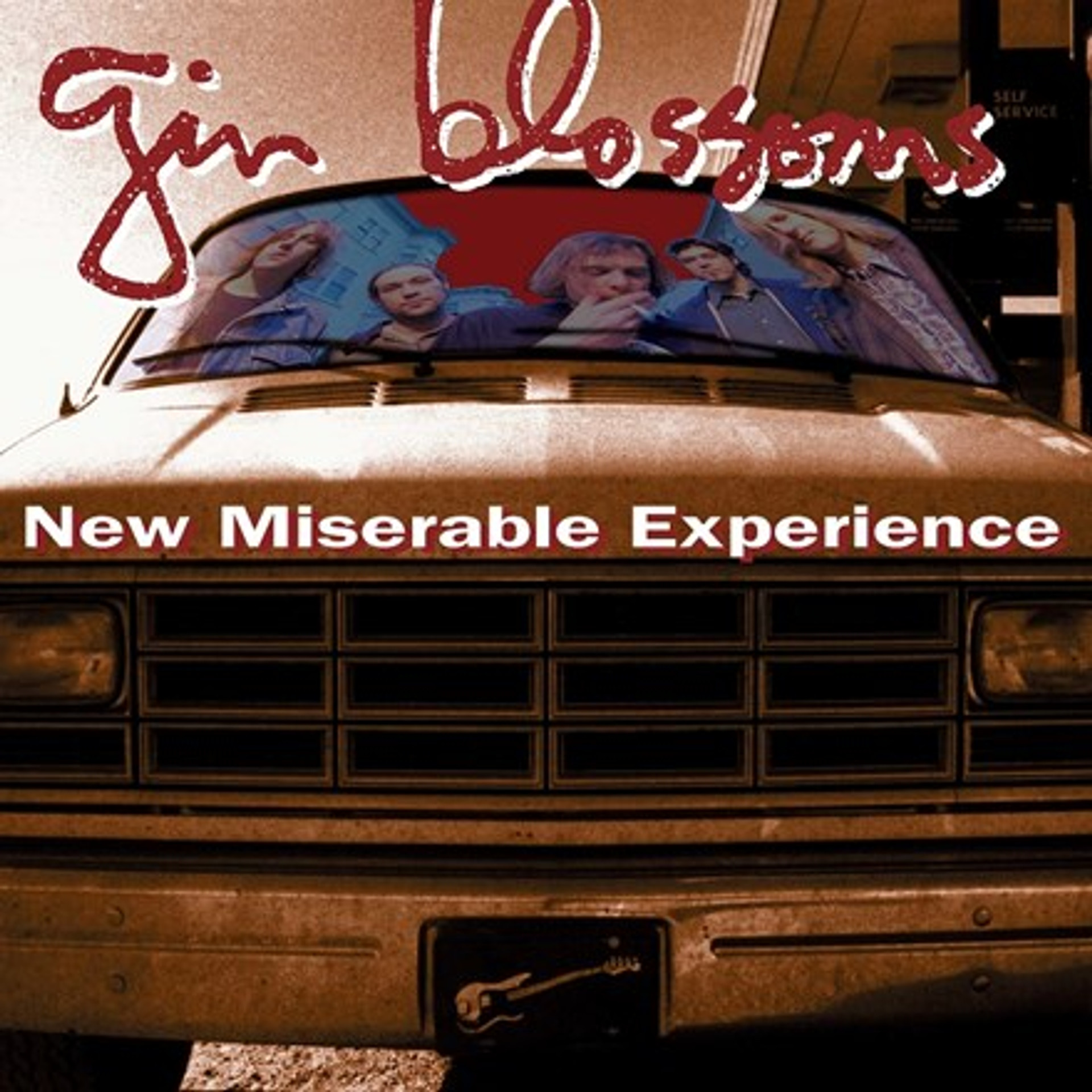 Gin Blossoms New Miserable Experience (Vinyl LP) * * * Music Direct