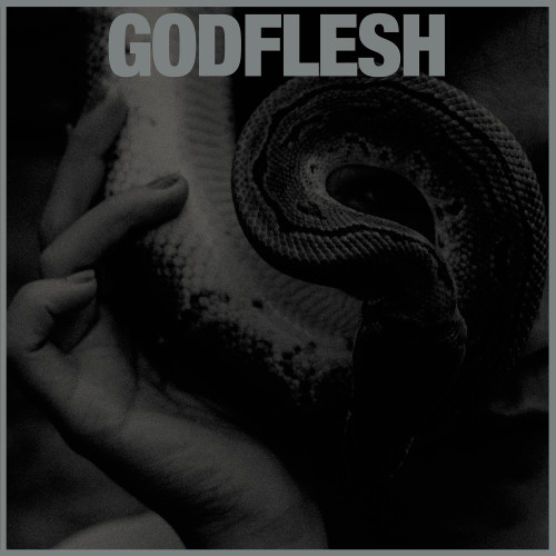 Godflesh - Purge (Vinyl LP)