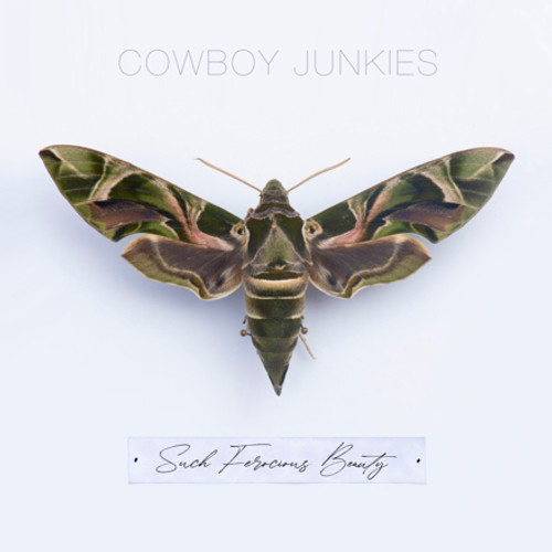 Cowboy Junkies - Such Ferocious Beauty (Colored Vinyl LP)