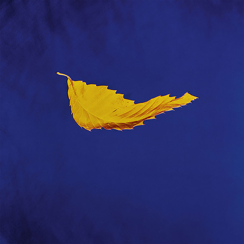 New Order - True Faith: 2023 Remaster (12" Vinyl EP) * * *
