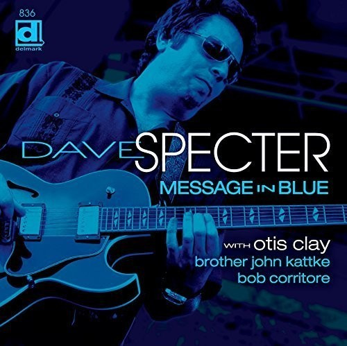 Dave Specter - Message in Blue (Vinyl LP)