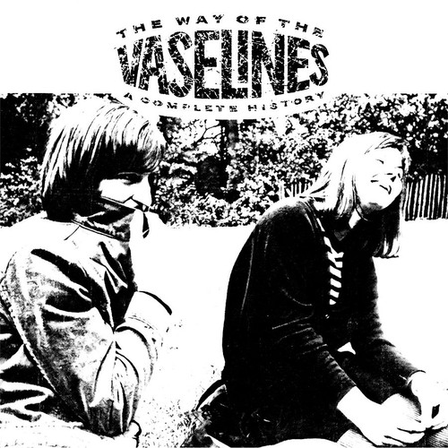 The Vaselines - The Way of the Vaselines (Vinyl 2LP) - Music Direct