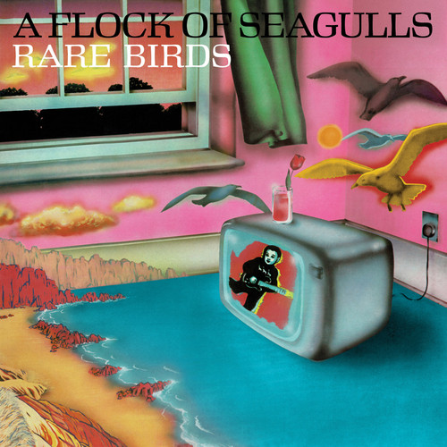 A Flock of Seagulls Rare Birds B Sides Edits and Alternate