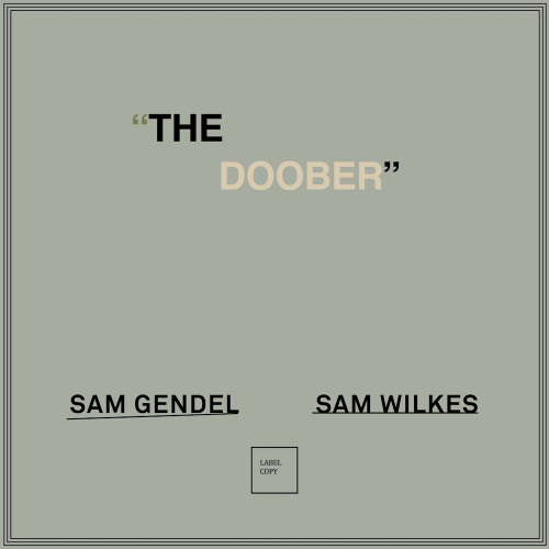 Sam Gendel / Sam Wilkes - The Doober (Vinyl LP) - Music Direct
