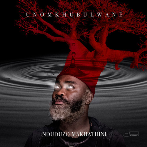 Nduduzo Makhathini - uNomkhubulwane (Vinyl 2LP)
