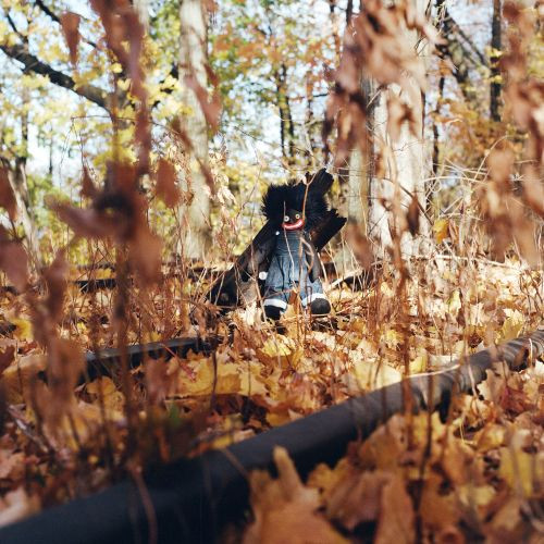 Billy Woods - Golliwog (Vinyl 2LP)