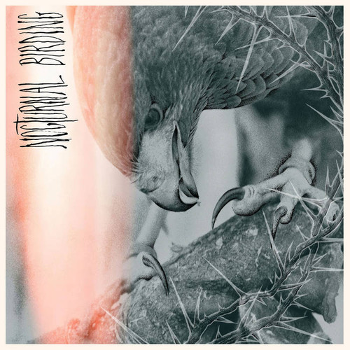 Author & Punisher - Nocturnal Birding (Colored Vinyl LP)