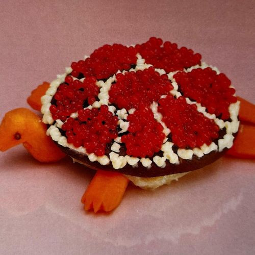 Sharp Pins - Turtle Rock (Vinyl LP)