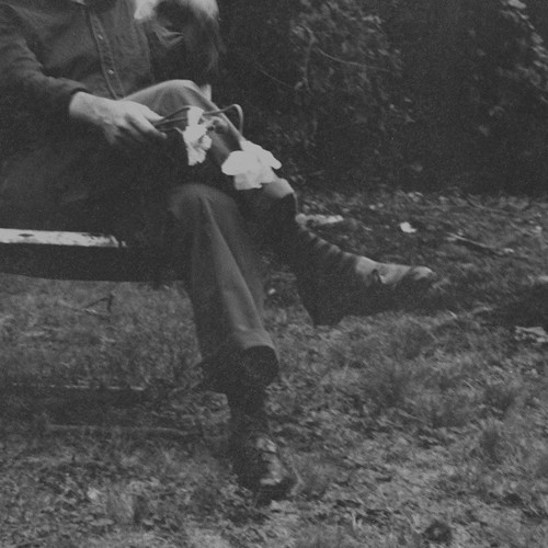 Needtobreathe - The Long Surrender (Vinyl LP)