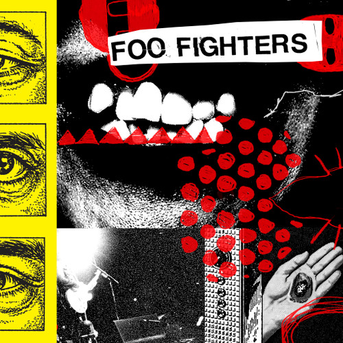 Foo Fighters - Your Favorite Toy (Vinyl LP)