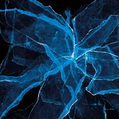 Jason Moran, Marcus Gilmore, BlankFor.ms - Shards (180g Colored Vinyl LP)