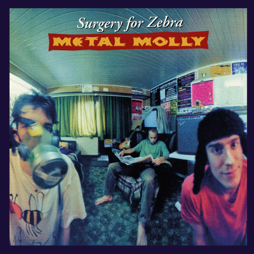 Metal Molly - Surgery for Zebra (Numbered Limited Ed. 180g Import Colored Vinyl LP)