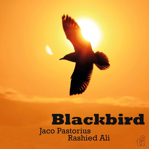 Jaco Pastorius & Rashied Ali - Blackbird (Limited Ed. 180g Import Colored Vinyl LP)