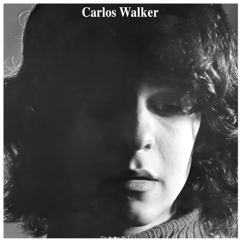 Carlos Walker - A Frauta de Pa (Numbered Limited Ed. 180g Colored Vinyl LP)