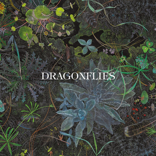 Dragonflies - Dragonflies (Vinyl LP)