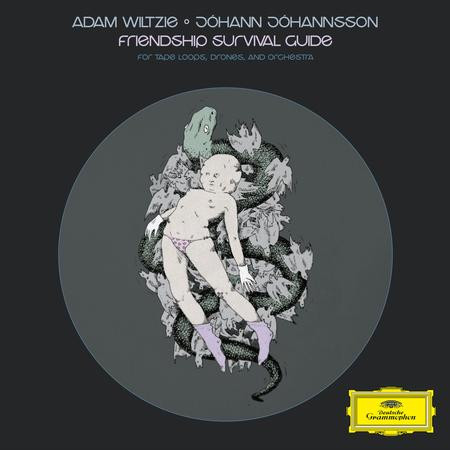 Adam Wiltzie & Johann Johannsson - Friendship Survival Guide (Vinyl LP)