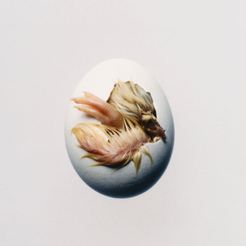 Shygirl - Swallow! (Vinyl LP)