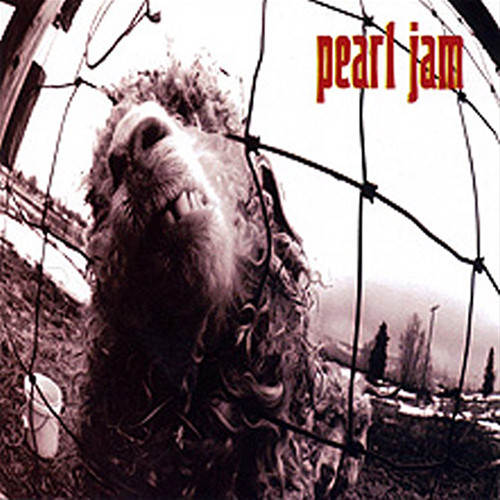 Pearl Jam - VS. (Remastered) - (Vinyl LP) * * *