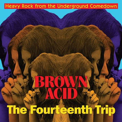 Brown Acid: The Fourteenth Trip - Various Artists (Vinyl LP)