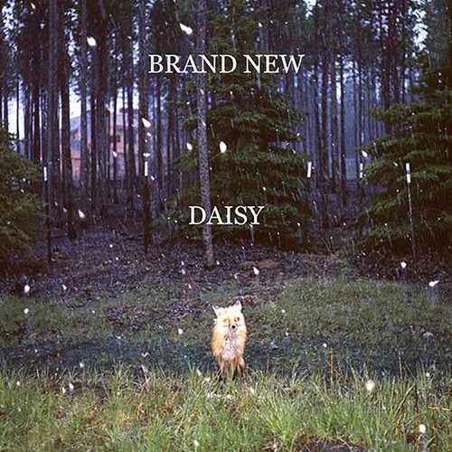 Brand New - Daisy (180g Vinyl LP)
