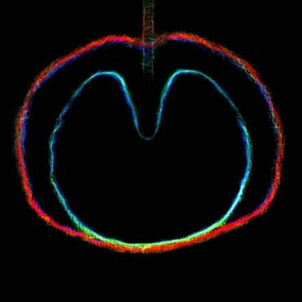 XTC アップルボックス アップル ヴィーナス ワスプスター エックスティーシー Wasp Star: Apple Venus Volume 2 by XTC (Album, Pop Rock): Reviews