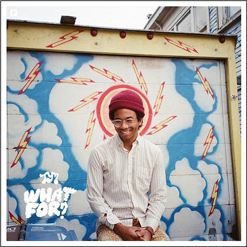Toro Y Moi - What For? (Vinyl LP)