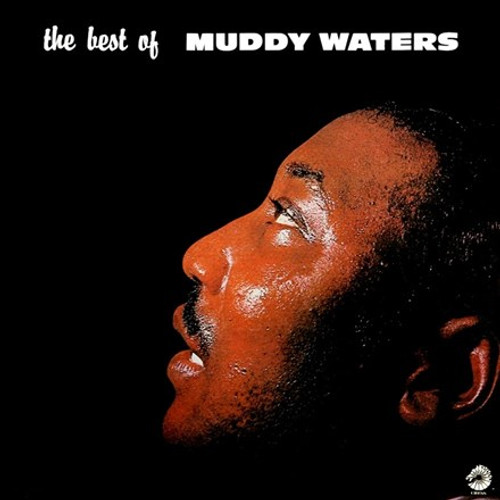 Muddy Waters - The Best of Muddy Waters (Vinyl LP)