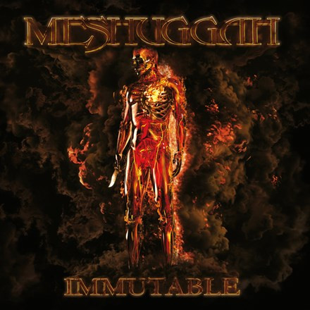 Meshuggah - Immutable (Vinyl 2LP) * * *
