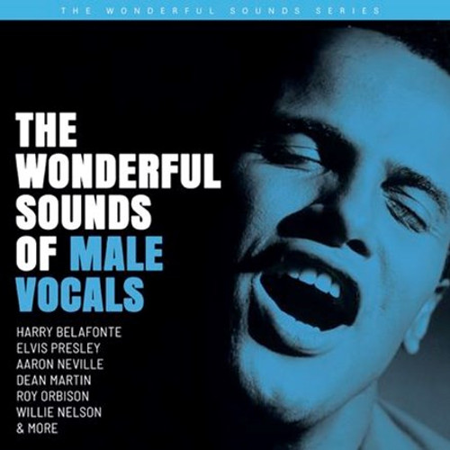 Various Artists - The Wonderful Sounds Of Male Vocals (180g Vinyl 2LP)