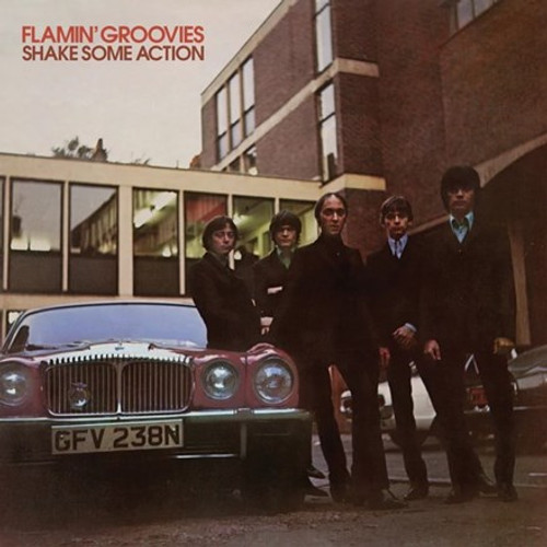 Flamin' Groovies - Shake Some Action (Colored Vinyl LP)