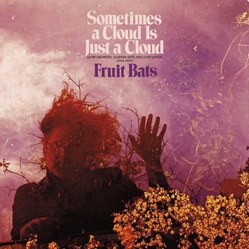 Fruit Bats - Sometimes a Cloud Is Just a Cloud: Slow Growers, Sleeper Hits (Colored Vinyl 2LP)