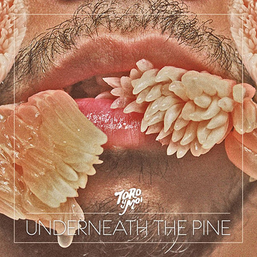 Toro Y Moi - Underneath The Pine (Vinyl LP)